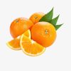 Guava fruit - Image 2