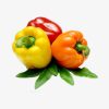 Carrot - Image 2